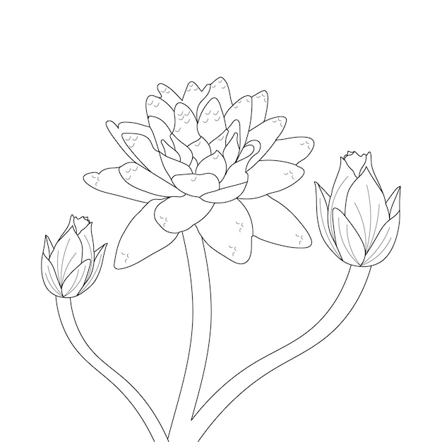 Premium vector water lily coloring page and line art flower sketch with flower vector illustration