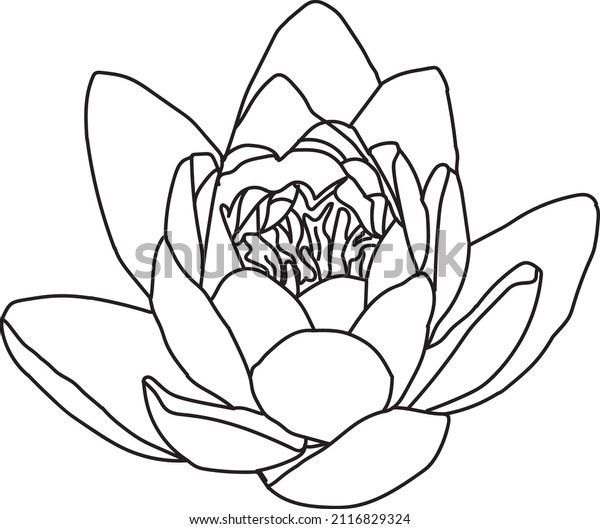 Water lily flower coloring page kids stock vector royalty free