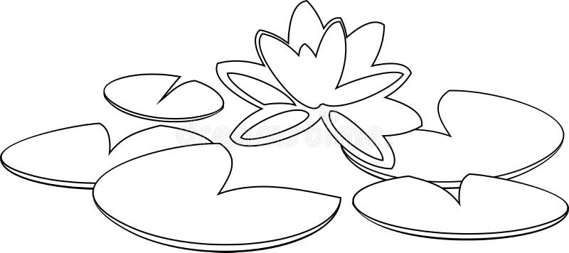 Coloring with water lily stock vector illustration of preschool