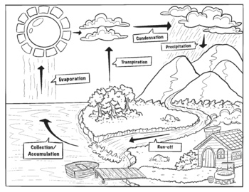 Water cycle coloring page with notes by science on a dime tpt