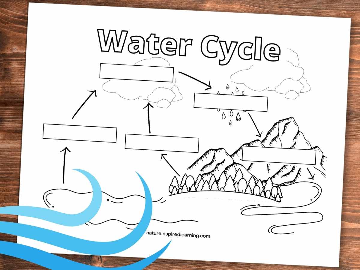 Water cycle coloring pages for kids