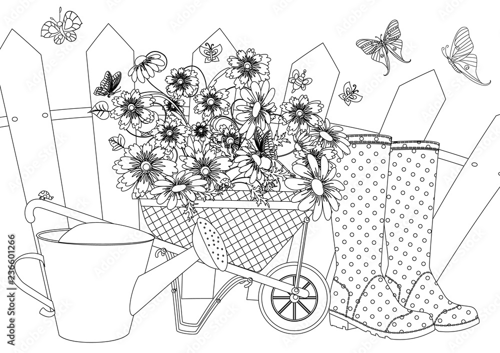 Rustic landscape with set of lovely flowers in garden wheelbarrow watering can welly boots for your coloring book vector