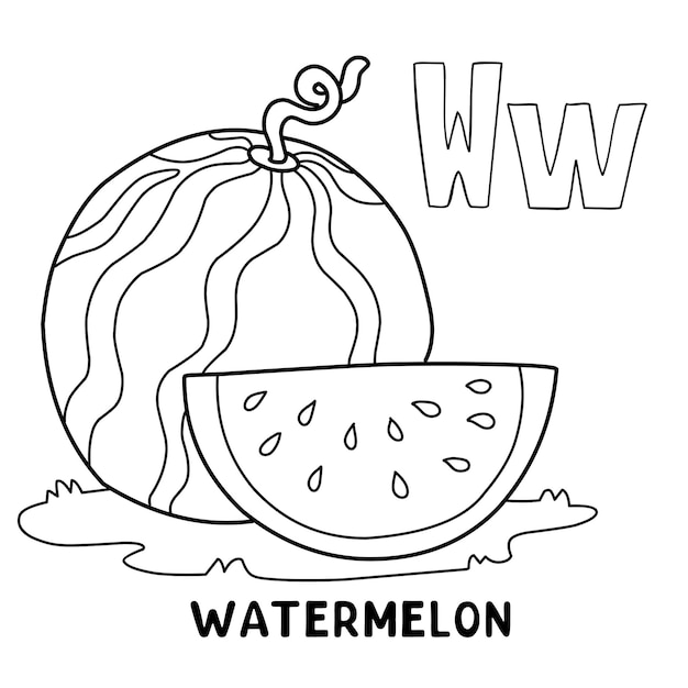 Watermelon coloring page images