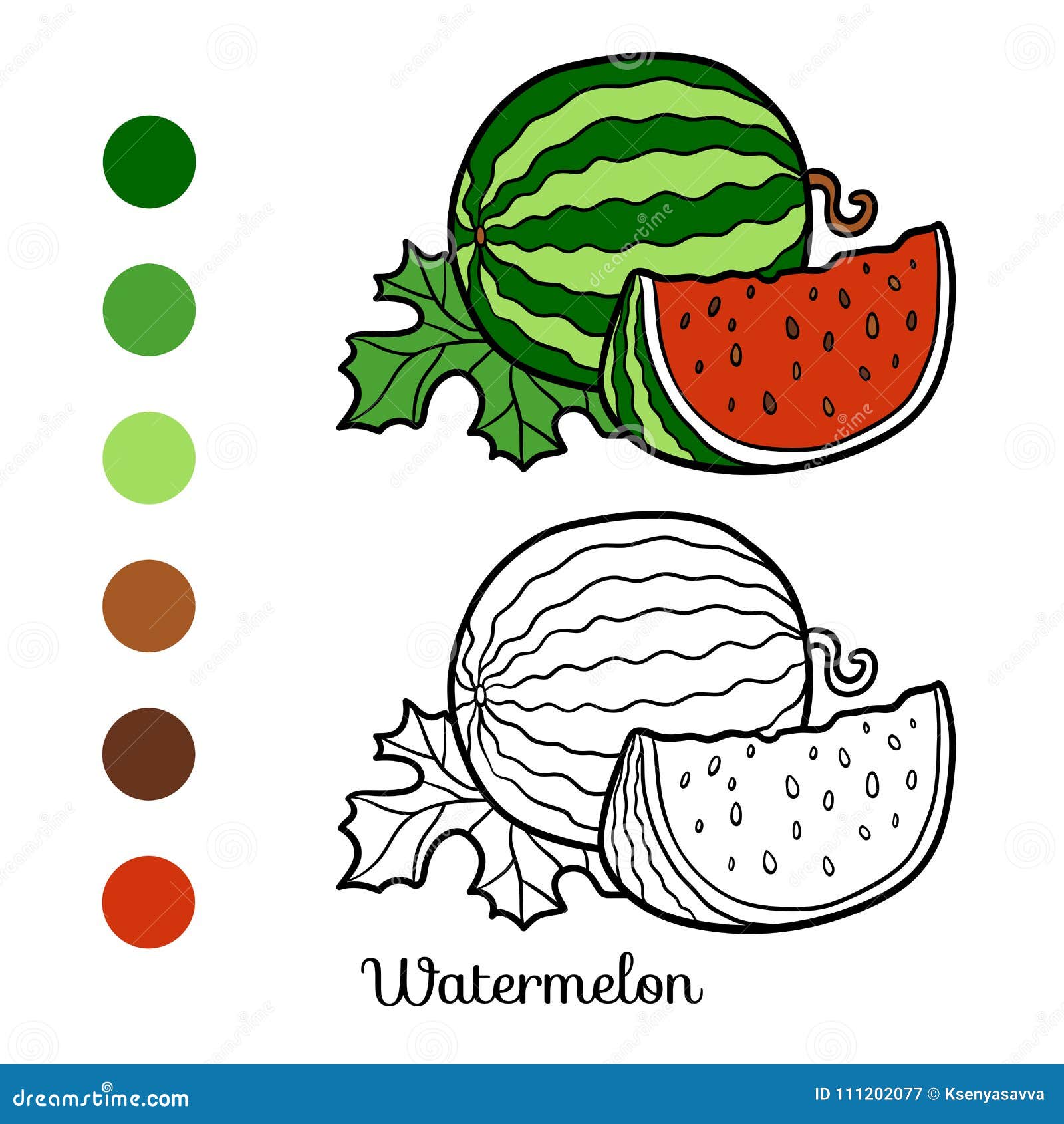 Watermelon coloring stock illustrations â watermelon coloring stock illustrations vectors clipart