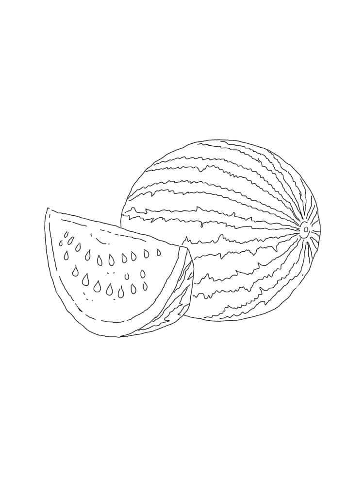 Drawing of a whole watermelon and a slice coloring page