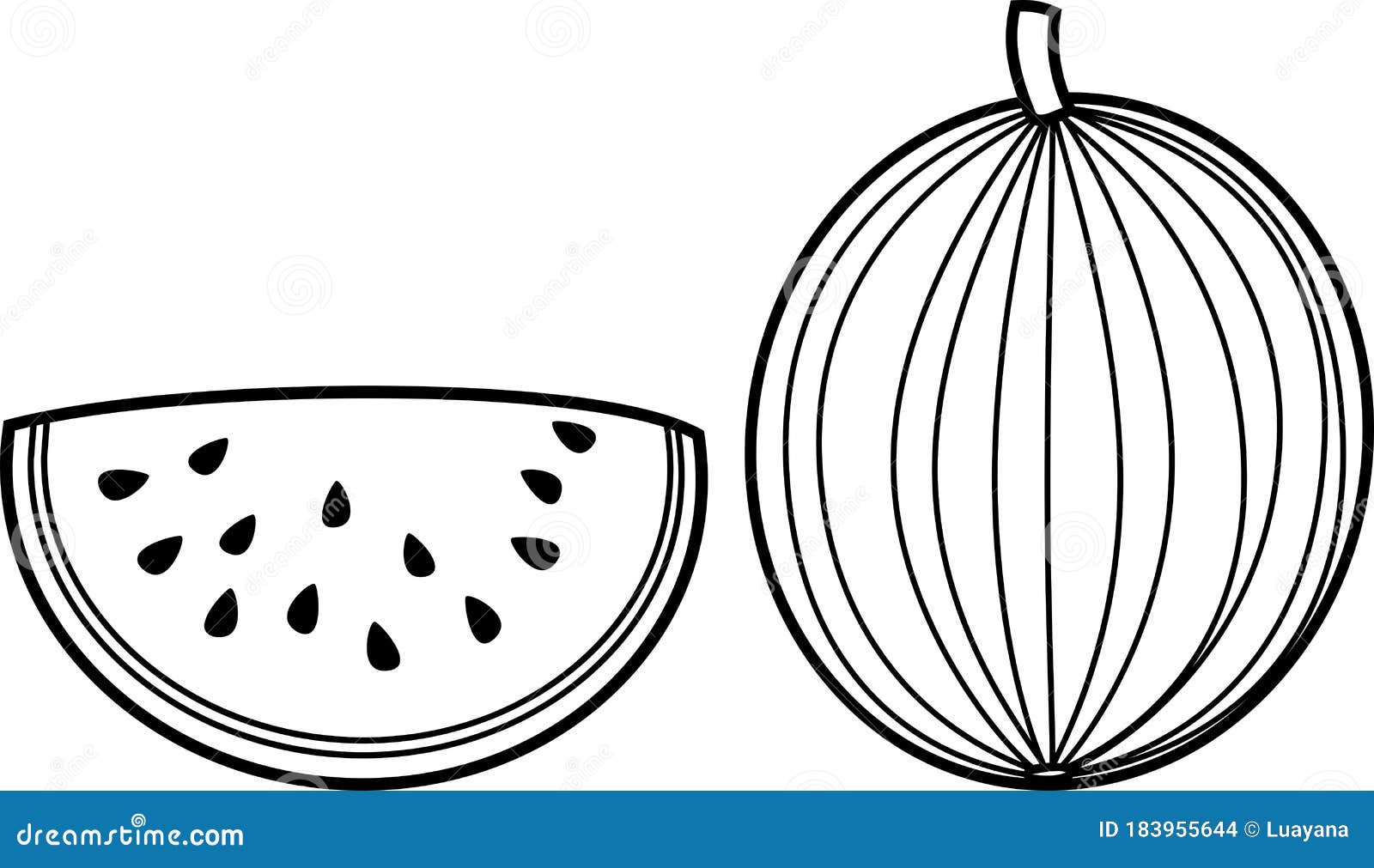 Coloring page watermelon stock vector illustration of round