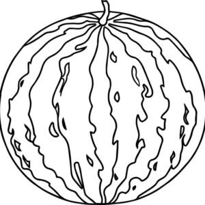 Watermelon coloring page printable for free download
