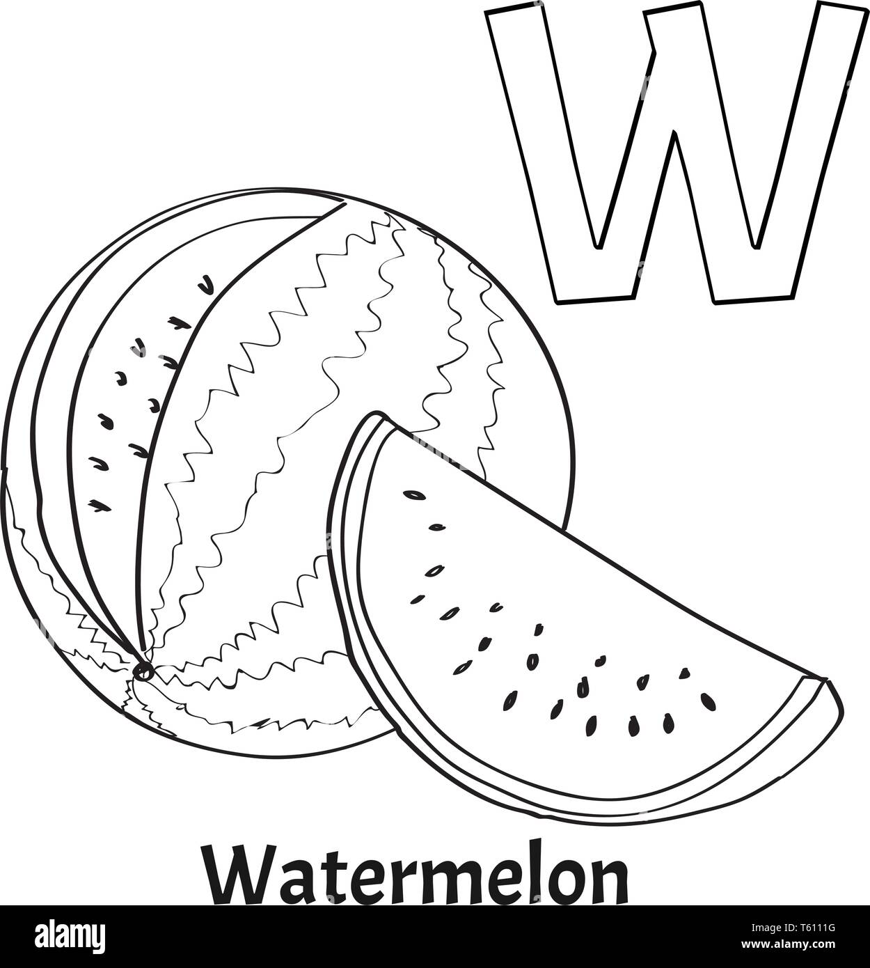Alphabet letter w coloring page watermelon stock vector image art