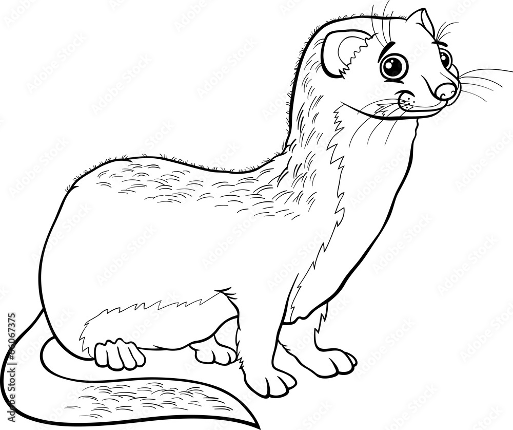 Weasel animal cartoon coloring book vector