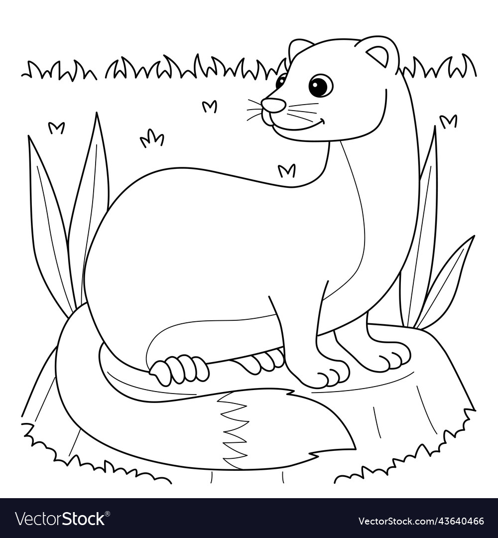 Weasel animal coloring page for kids royalty free vector