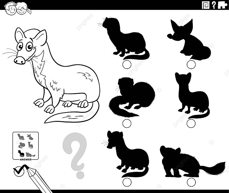 Coloring page of a cartoon weasel playing shadow game vector game weasel animal png and vector with transparent background for free download