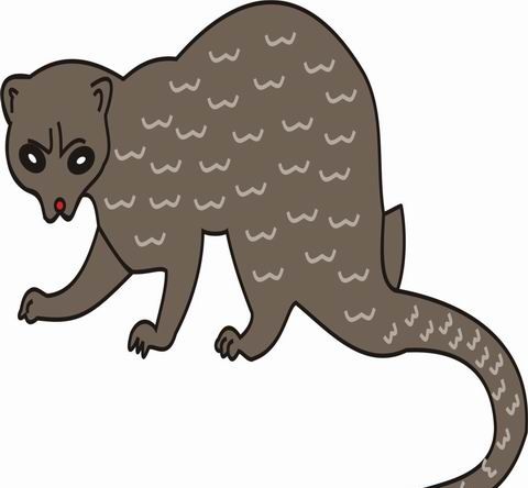 Weasel coloring pages for kids to color and print