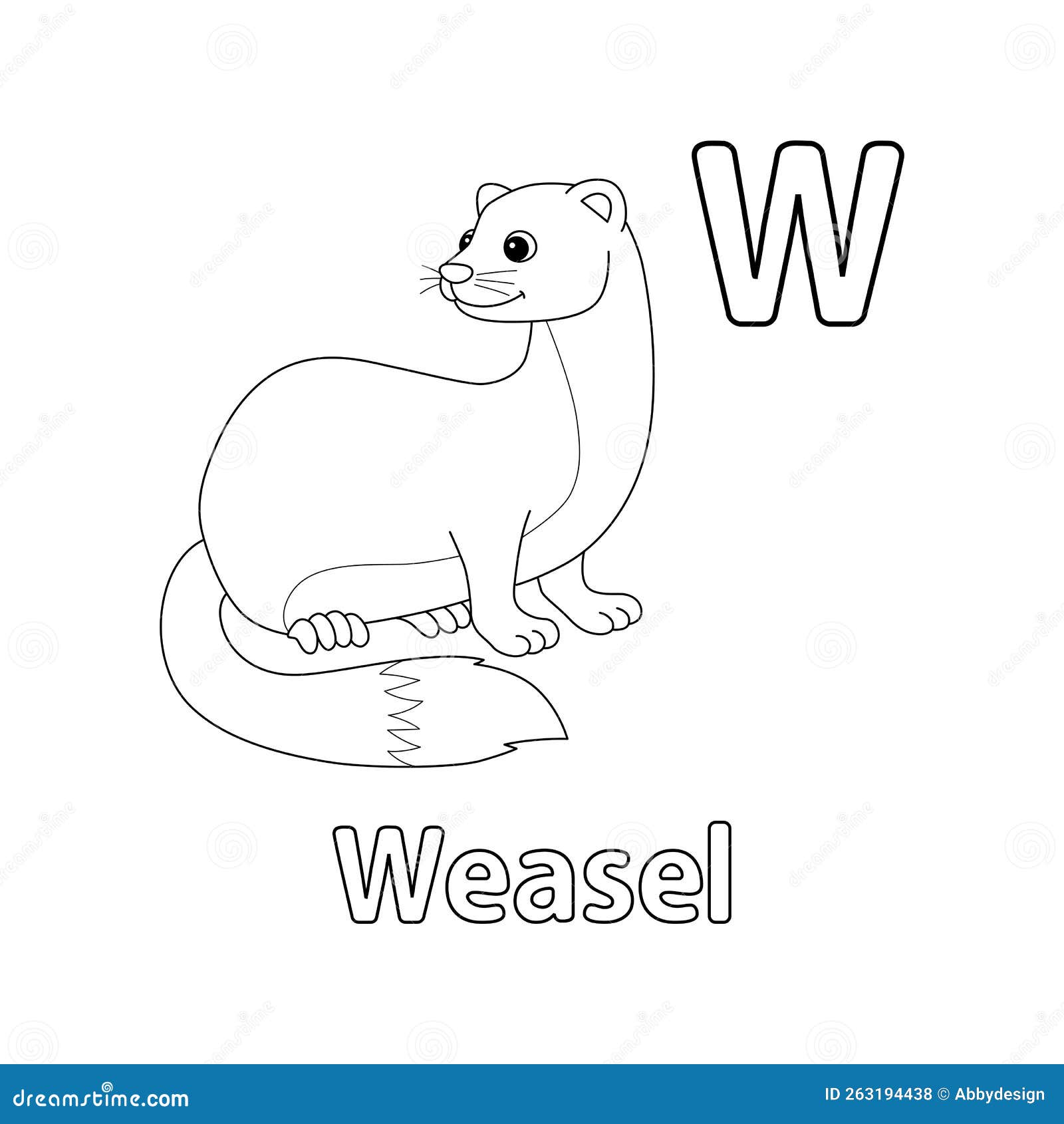 Weasel animal alphabet abc isolated coloring w stock vector