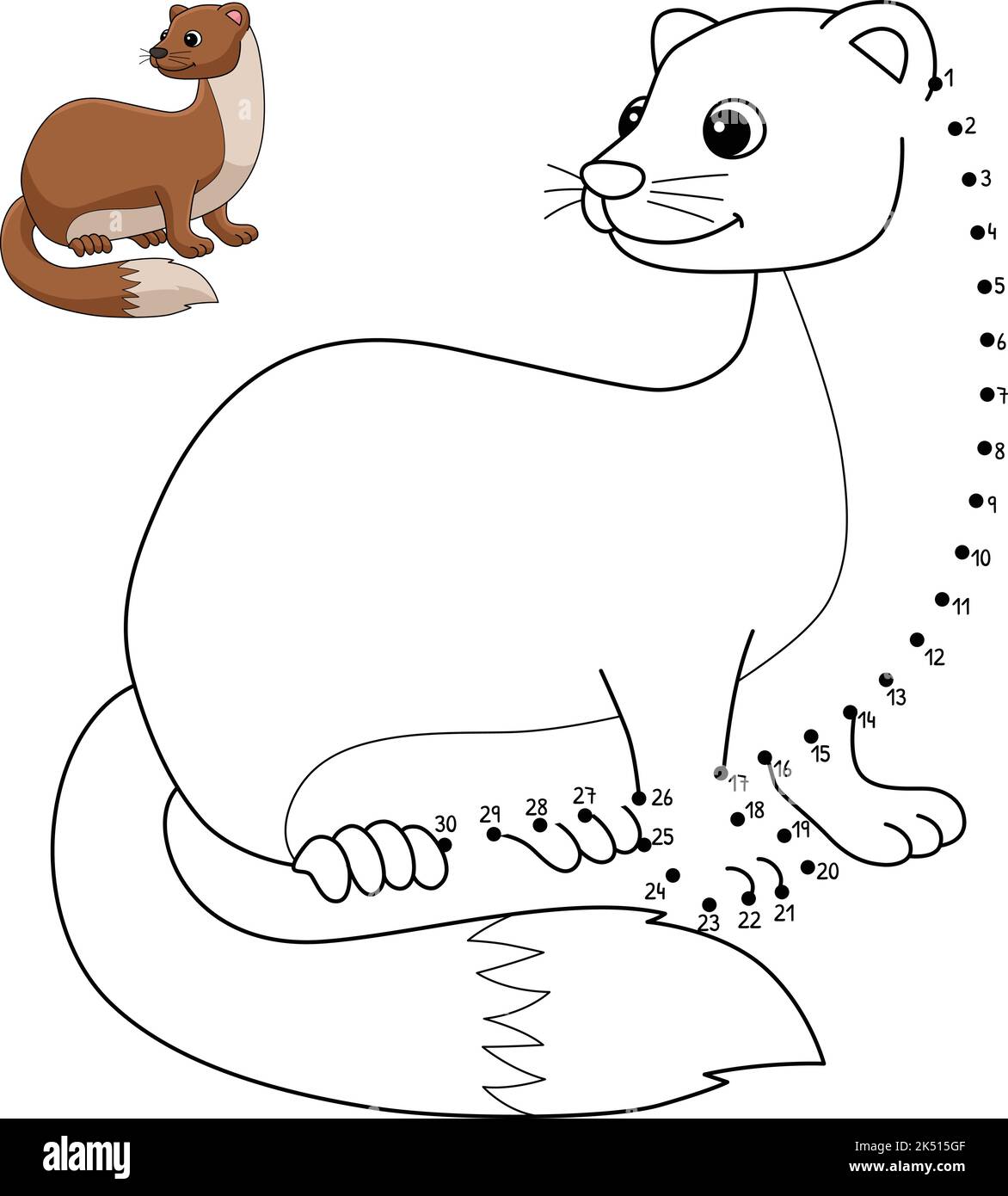 Weasel cut out stock images pictures