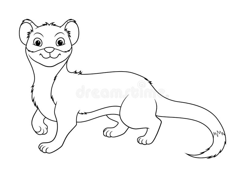 Ferret coloring page stock illustrations â ferret coloring page stock illustrations vectors clipart