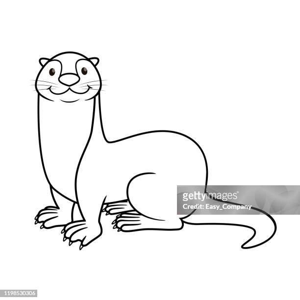 Weasel high res illustrations