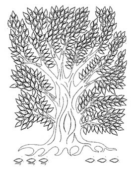 Printable weather tree