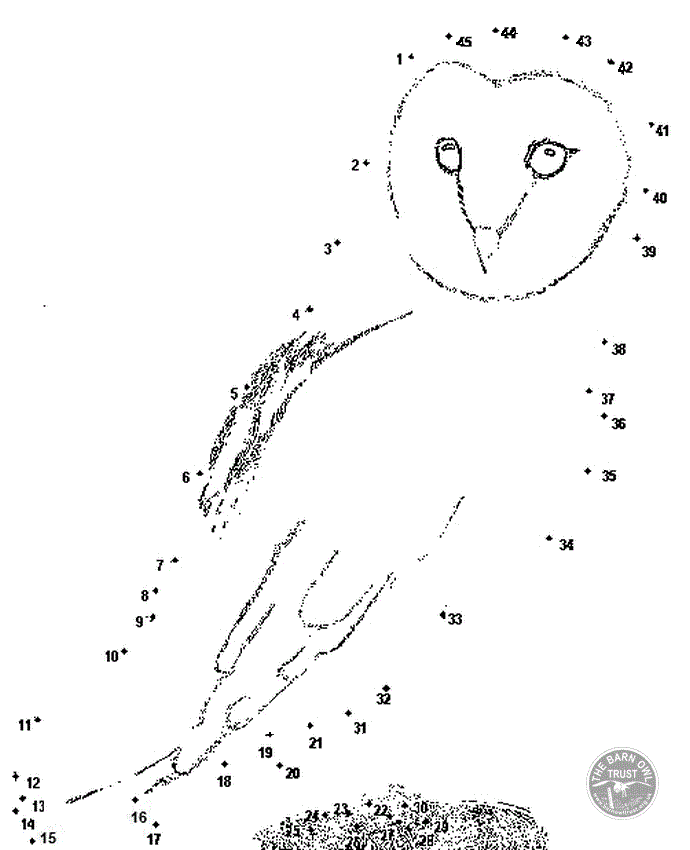 Dot
