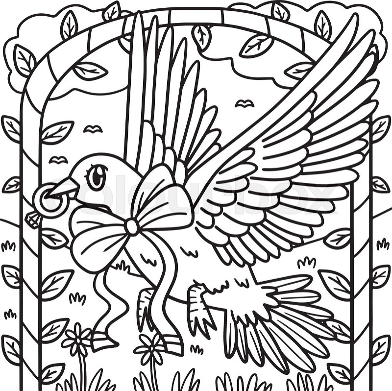 Wedding dove carrying ring coloring page for kids stock vector