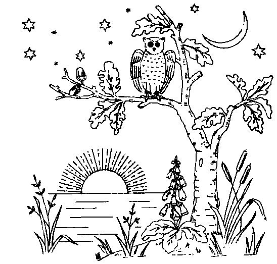 Owl embroidery design or coloring page