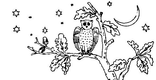 Owl embroidery design or coloring page