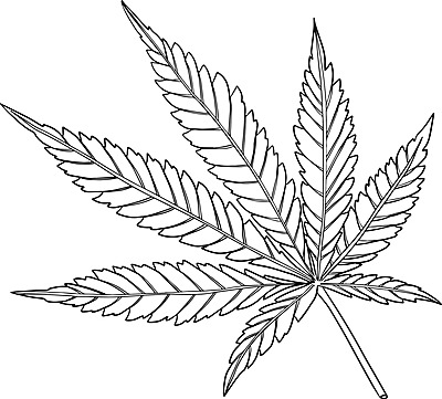 Weed leaf coloring page png transparent images free download vector files
