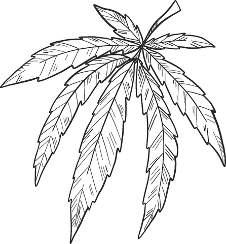 Marijuana coloring page free printable coloring pages