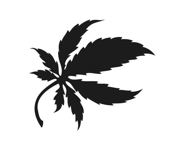 Weed leaf stencil stock illustrations royalty