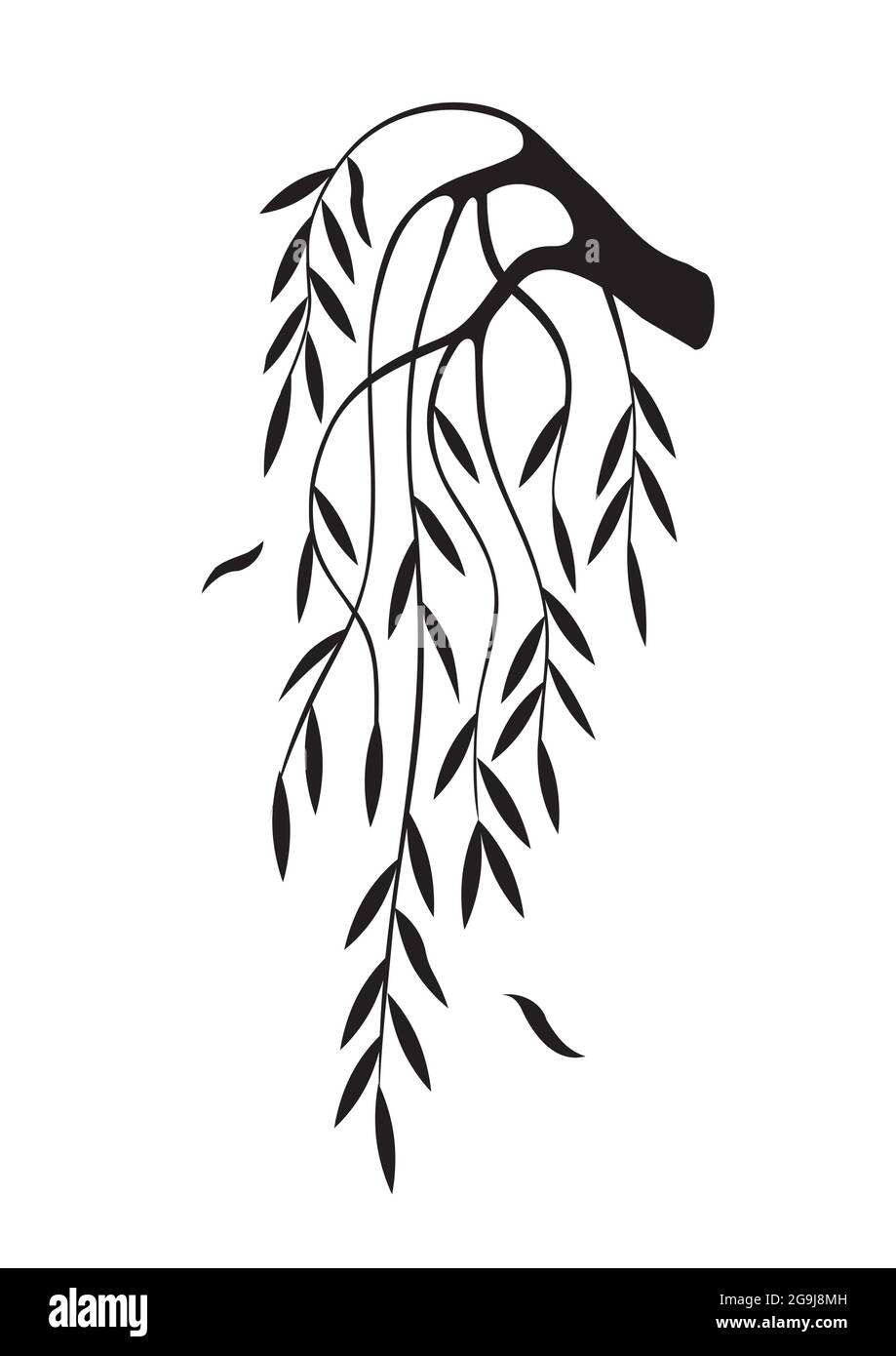 Willow tree vector vectors hi