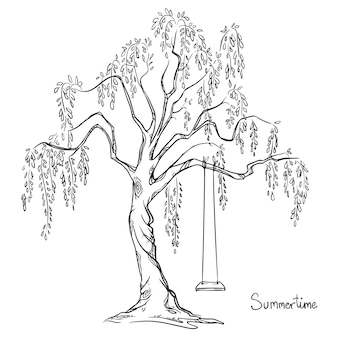 Weeping willow tree sketch vectors illustrations for free download