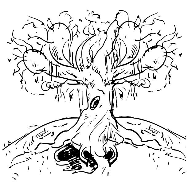 Weeping willow at school of witchcraft black and white sketch of a tree on a hill stock illustration