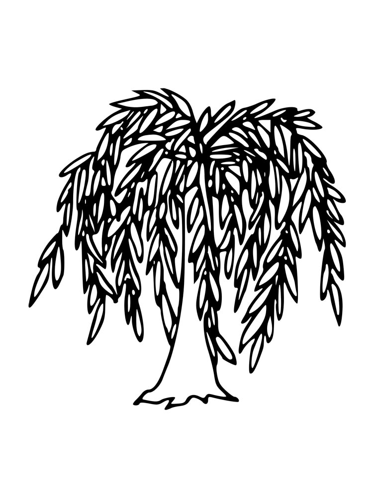 Willow coloring pages