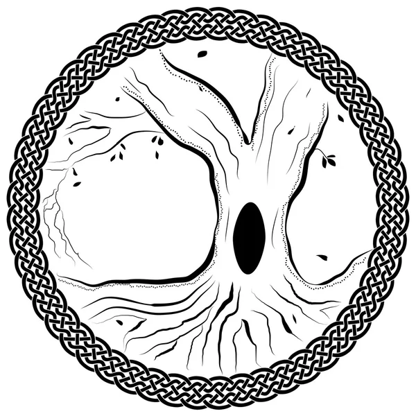 Weeping willow tree coloring page stock illustration by smk