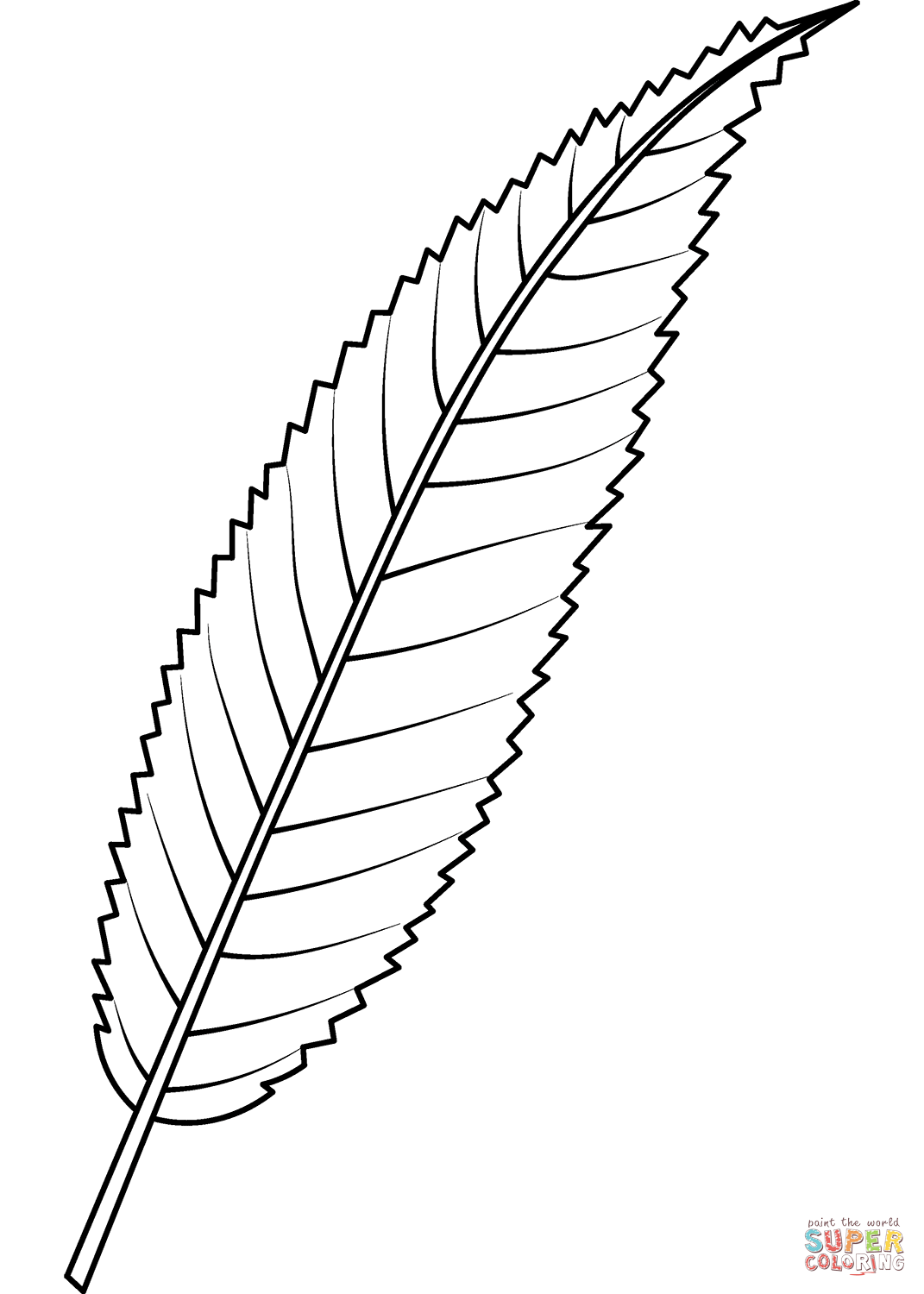 Crack willow leaf coloring page free printable coloring pages
