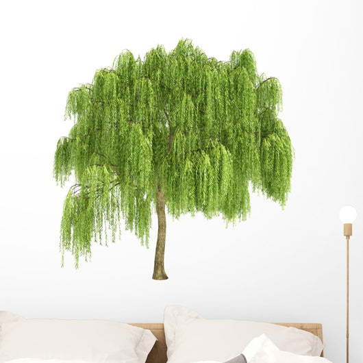 Weeping willow tree wall decal
