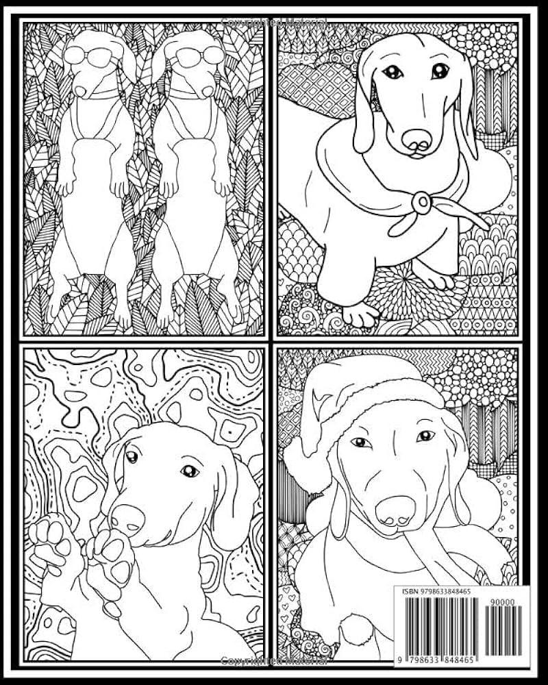 Weiner dog coloring book coloring weiners cute coloring book for adults stress free mind relaxation cute dogs sketchbook