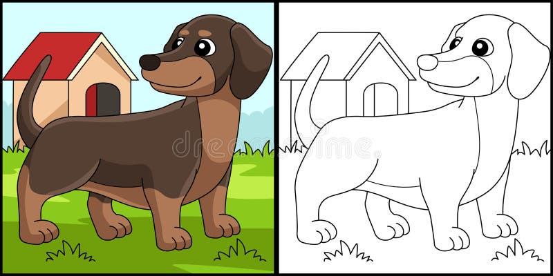Dachshund colouring stock illustrations â dachshund colouring stock illustrations vectors clipart