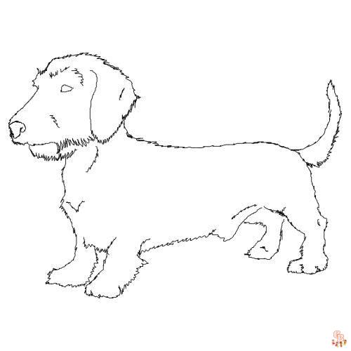 Enjoy coloring with wirehaired dachshund coloring pages