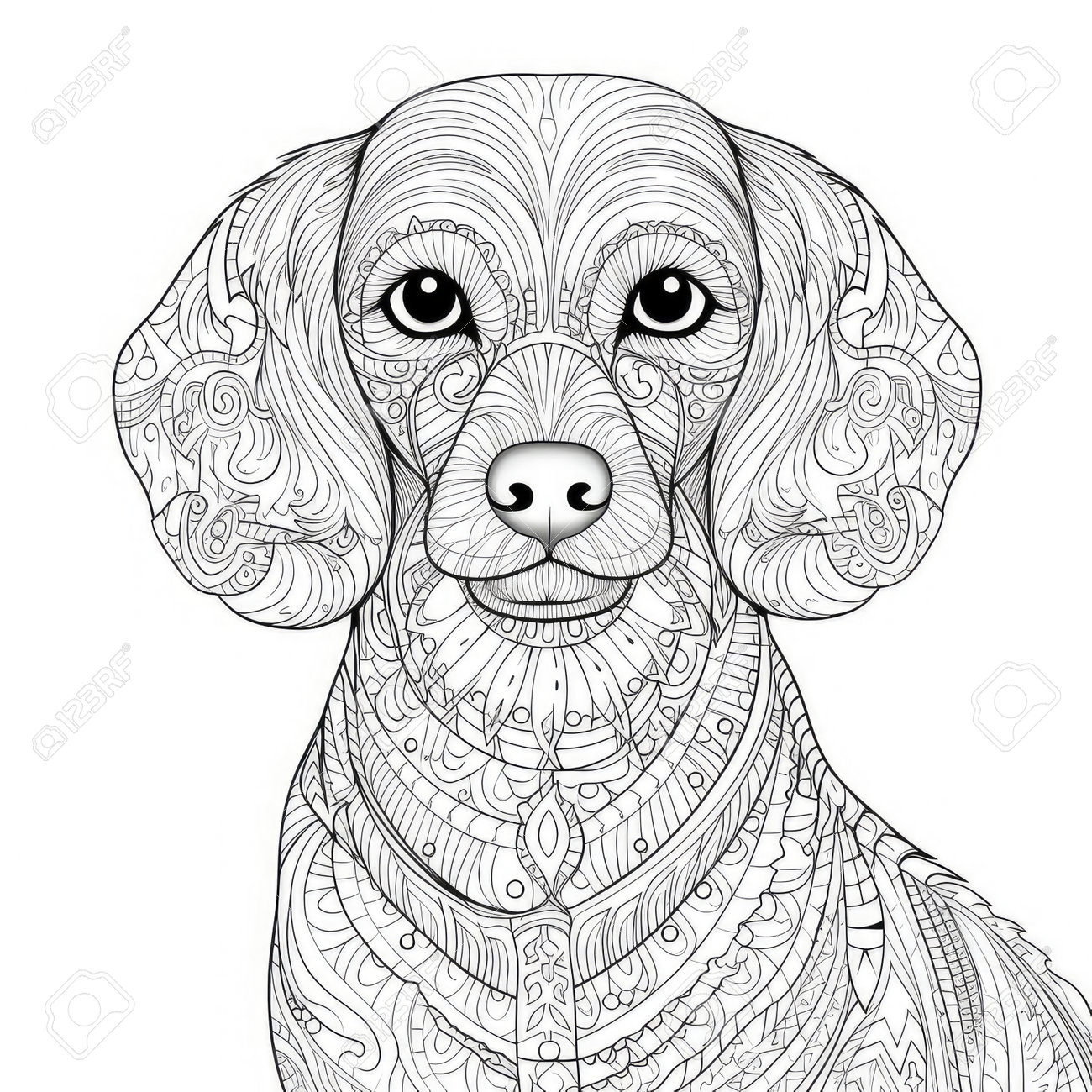 Dachshund dog coloring page for adults hand drawn vector illustration stock photo picture and royalty free image image