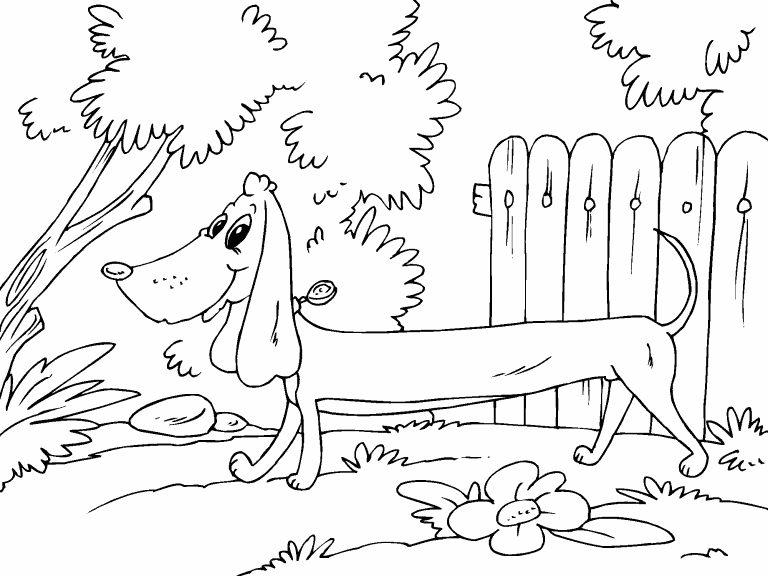 Sausage dog coloring page