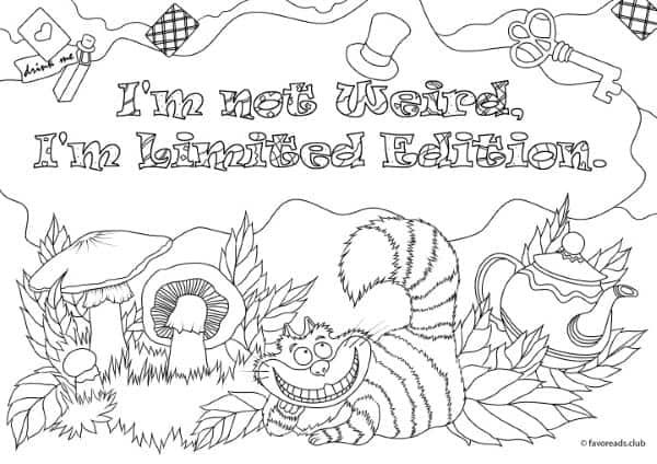 Womans adventure â i am not weird