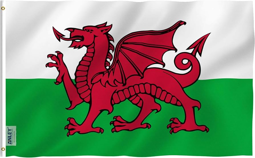 Anley fly breeze x foot wales flag