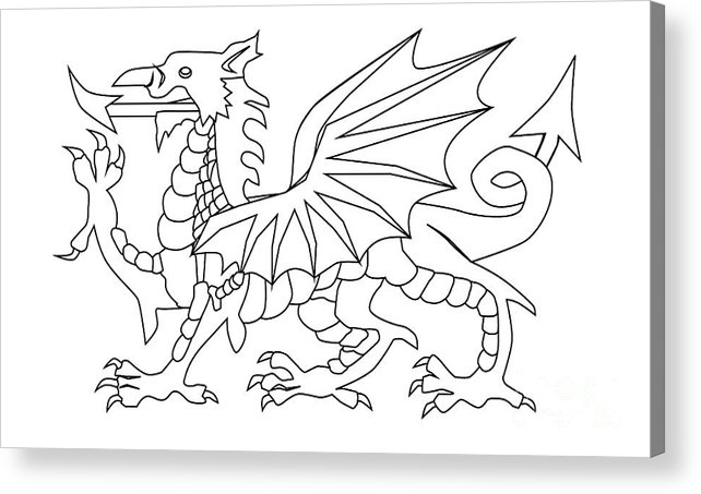 Welsh dragon outline acrylic print by bigalbaloo stock