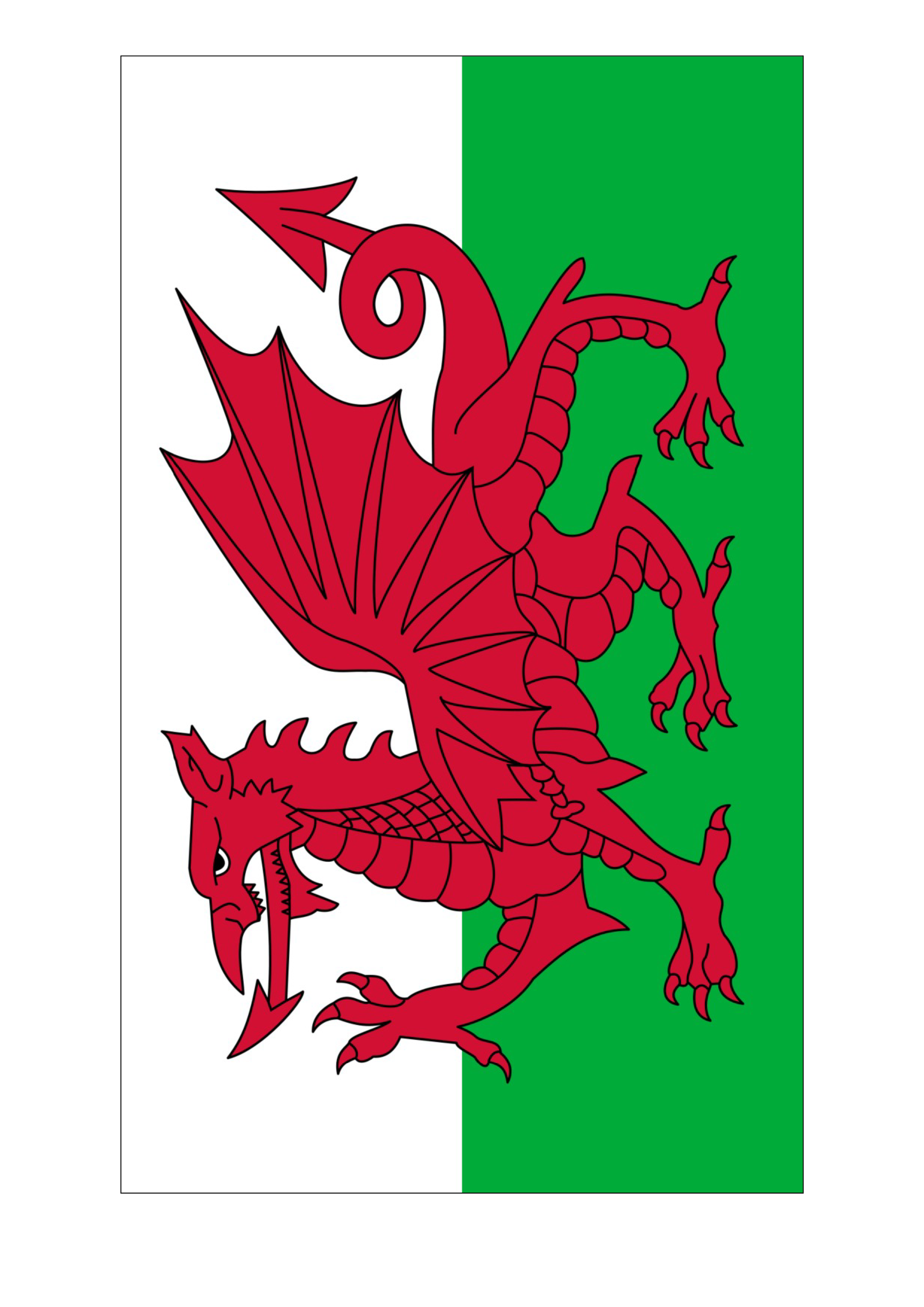 Wales flag