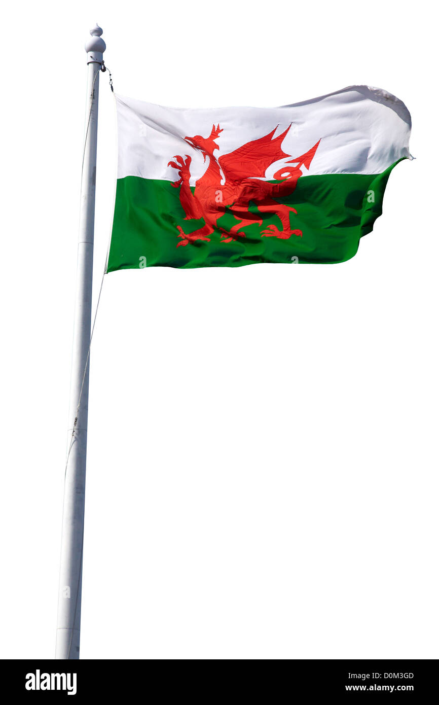 Welsh flag cut out stock images pictures