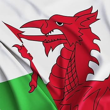 Welsh flag â wales flag
