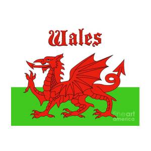 Welsh flag art print by rcp