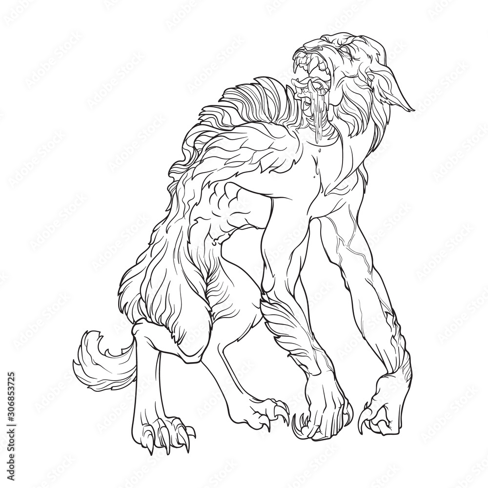 Werewolf a legendary monster from european folklore tales black linear drawing isolated on a white background coloring book or tattoo design eps vector illustration vector