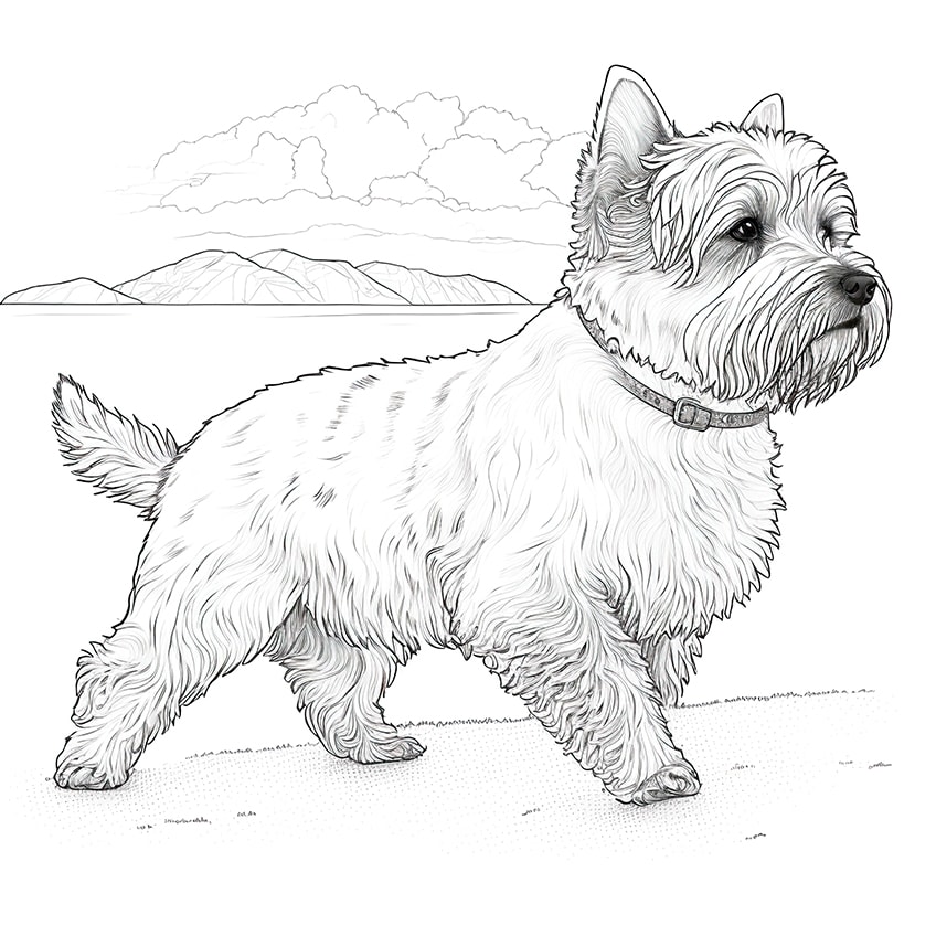 Dog coloring pages â coloring sheets for popular breeds