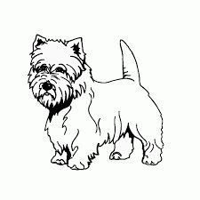 Image result for west highland white terrier dibujo dog loring page puppy loring pages westie puppies